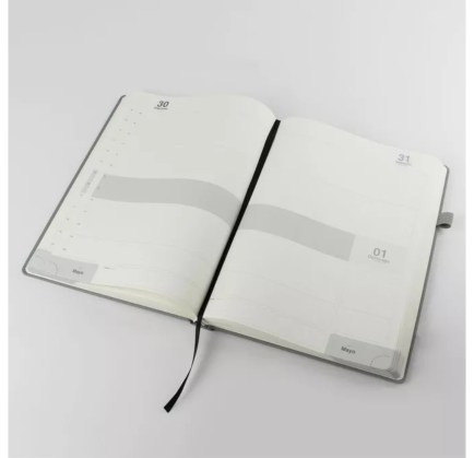 AGENDA BOX DIARIA_ABDG42025_08